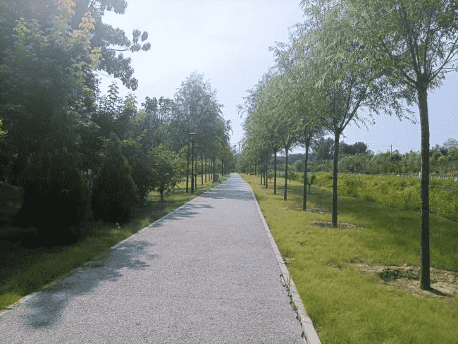 1636099118122475.png 2.png